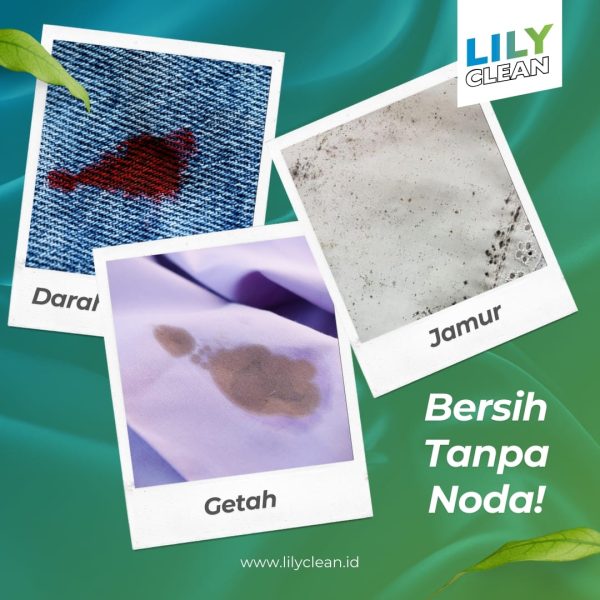 Lily Clean Atasi Noda 1000g