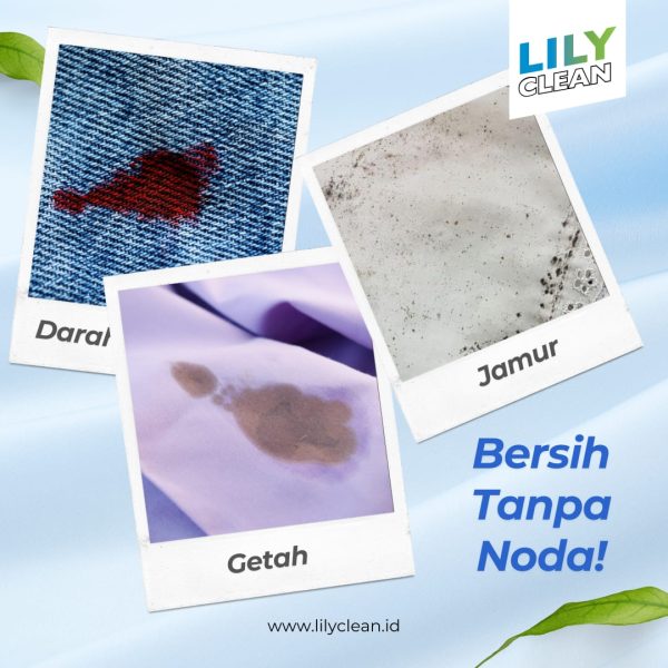 Lily Clean Atasi Noda 500g