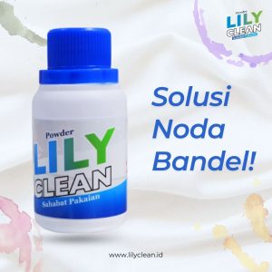 Lily Clean Solusi Noda Bandel